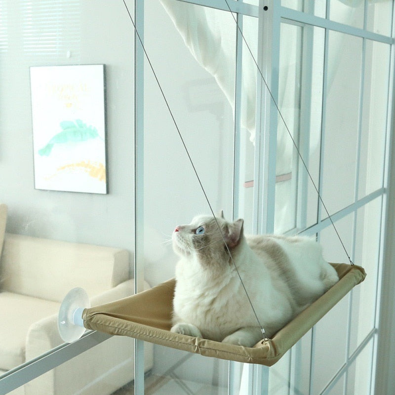 Pawelle | Fensterhängematte für Katzen – Sonnenplatz mit Aussicht