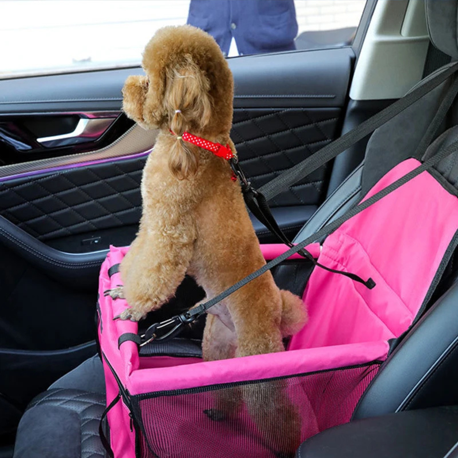 Lino | Faltbarer Haustier-Autositz mit Sicherheitsbefestigung