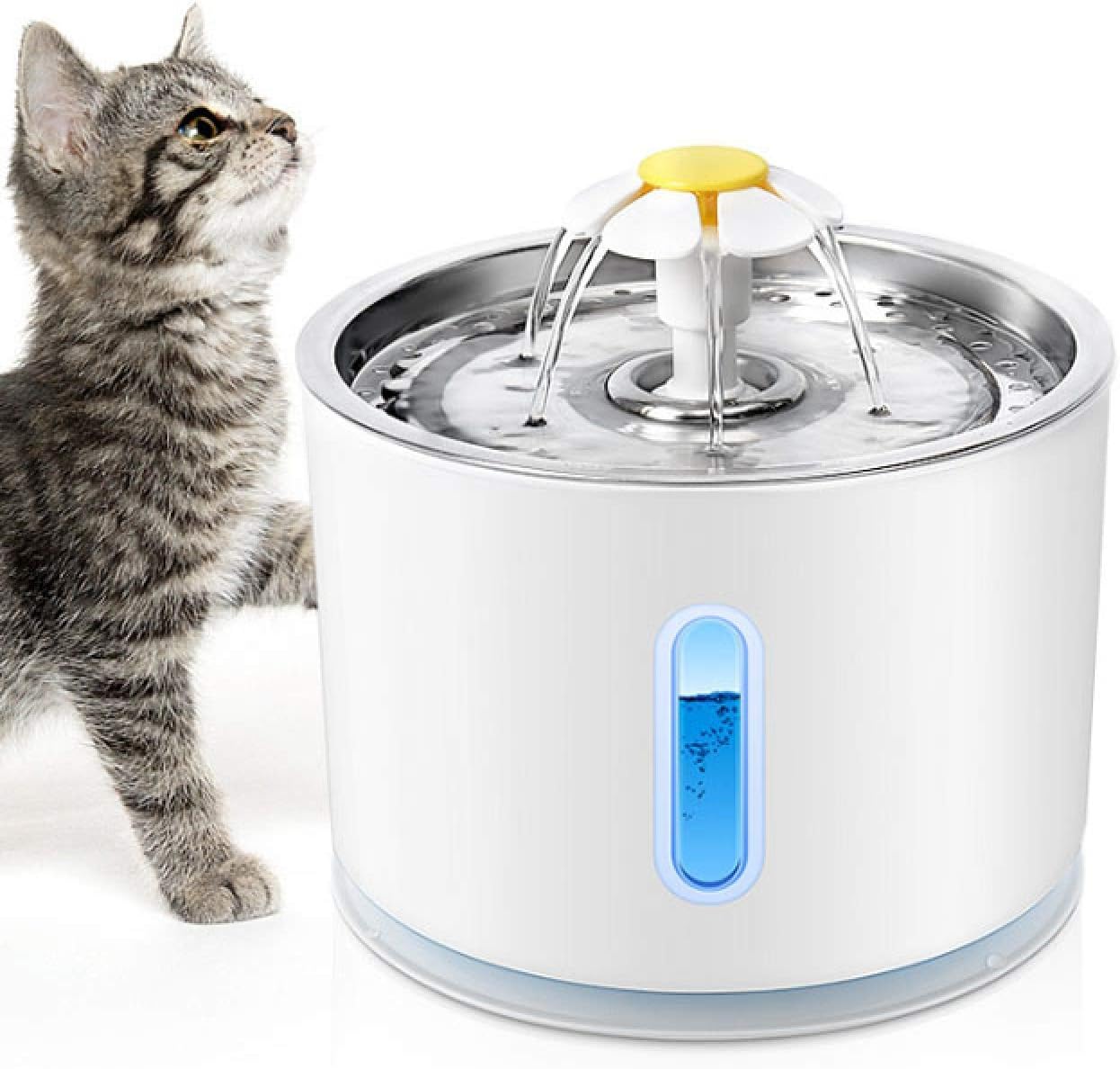 Aquaneko | Premium Trinkbrunnen für Katzen – Edelstahl & Filtertechnik