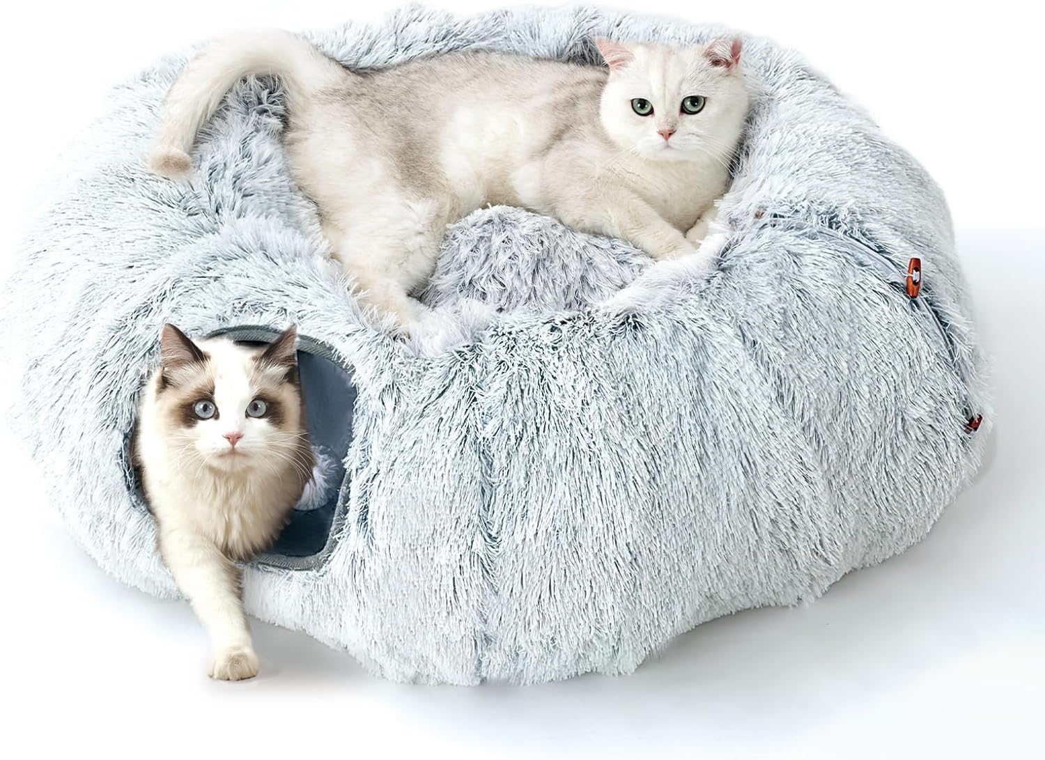 FeliNest | Faltbarer Katzentunnel mit Kuschelbett-Funktion für Katzen