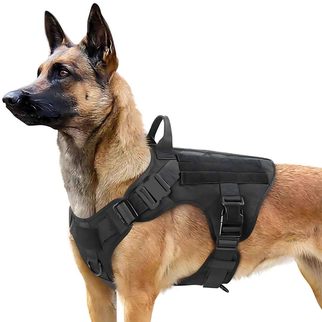 Vargan | Taktisches Hundegeschirr & Leinen-Set – 2-in-1 Komplettlösung für Outdoor-Training
