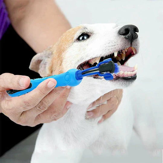 LinaPet | 3-Seiten-Zahnbürste für Haustiere mit Rundum-Borsten
