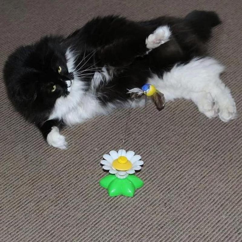 TigraFlitz | Interaktives Flugspielzeug für Katzen mit Kolibri & Schmetterling
