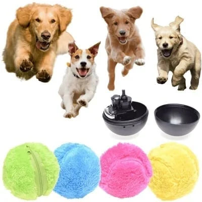 Maximo | Interaktiver Selbstrollender Spielball für Hunde