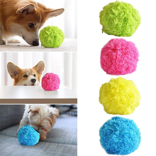 Maximo | Interaktiver Selbstrollender Spielball für Hunde