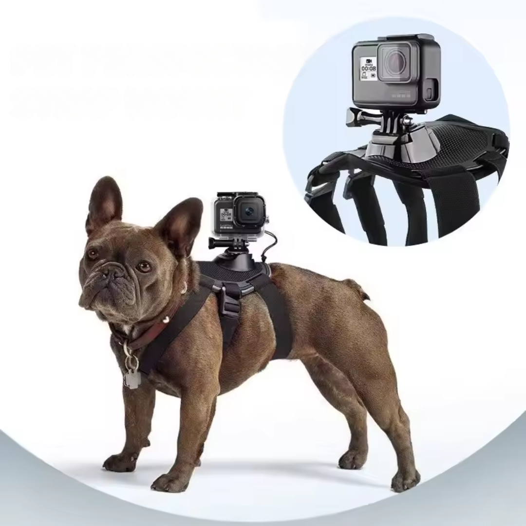 ViewPup | Action-Cam Hundegeschirr mit 360° Perspektive