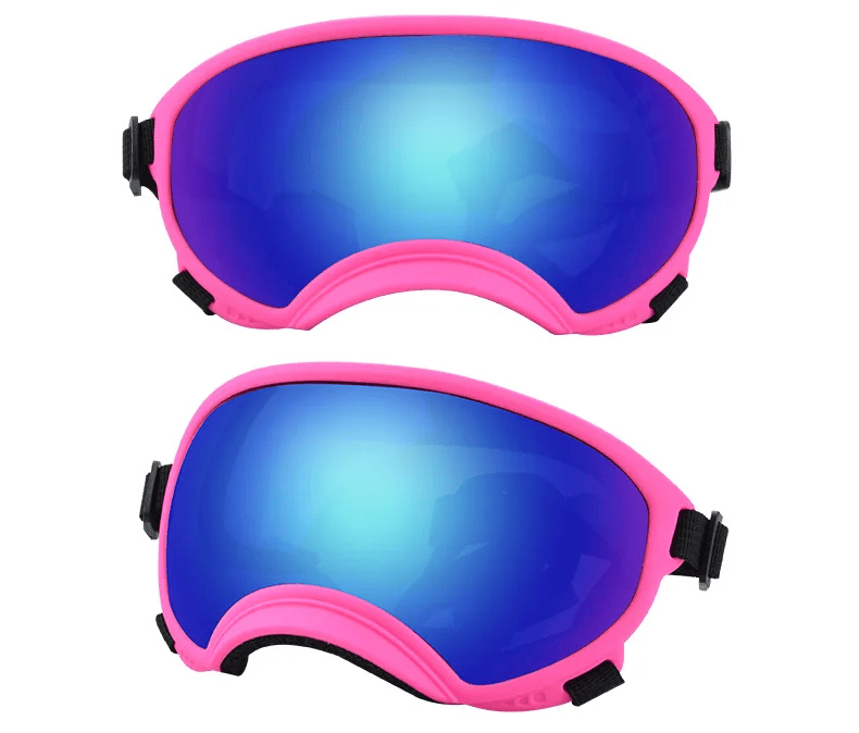 PawView | Anti-UV Hundebrille – Stoßfest & winddicht