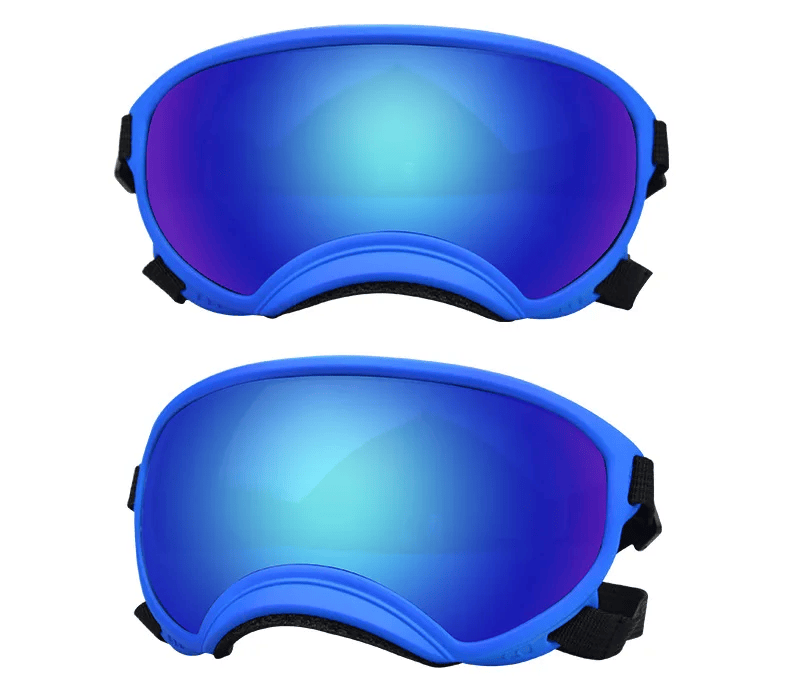 PawView | Anti-UV Hundebrille – Stoßfest & winddicht