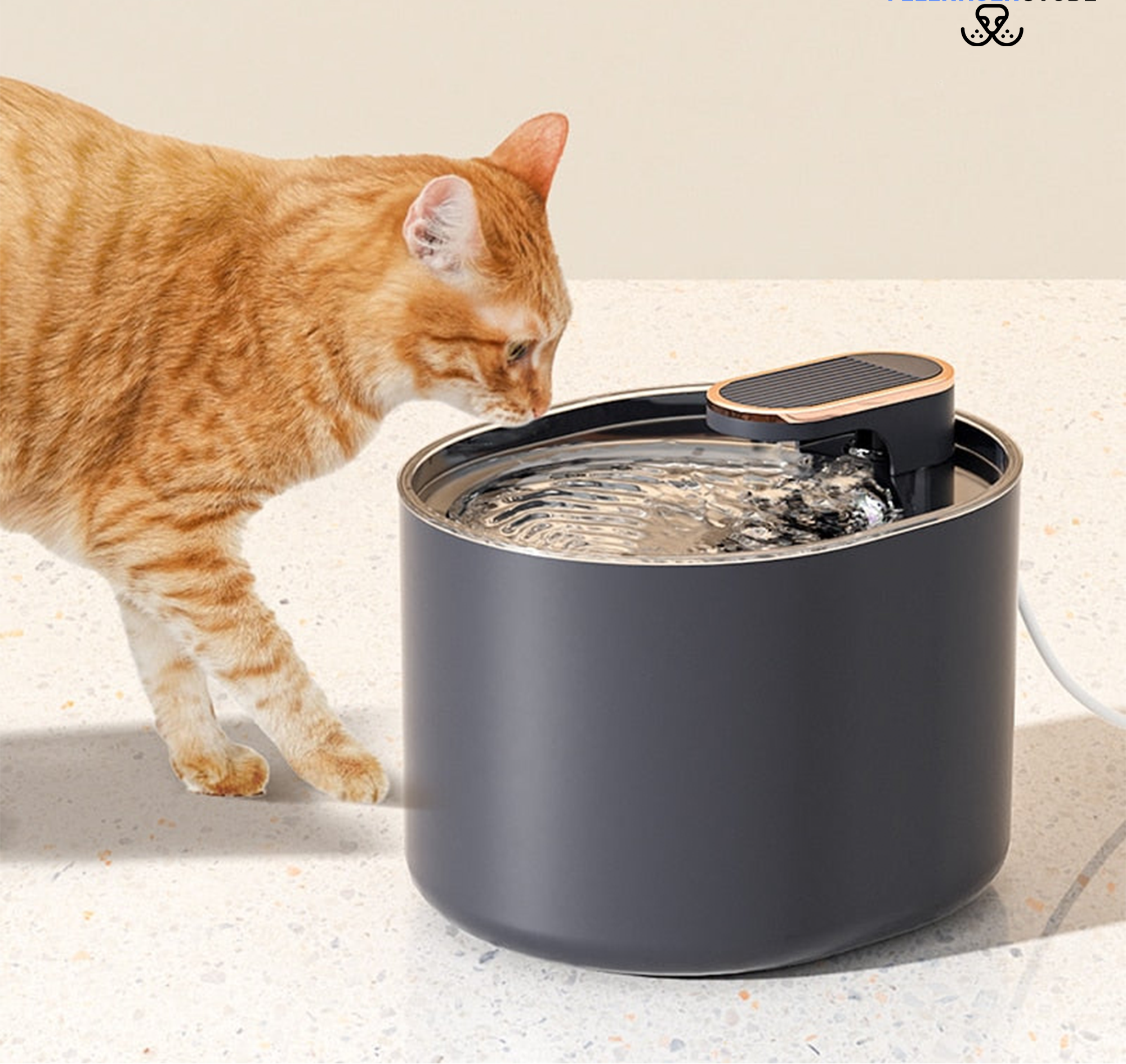 Felinis | Katzenbrunnen mit Aktivkohlefilter – Frisches Wasser rund um die Uhr