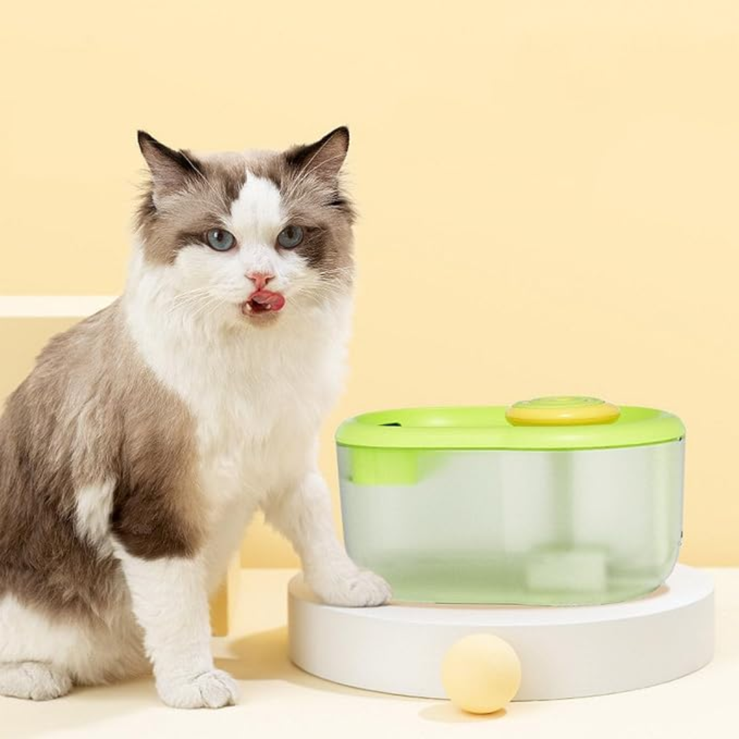 AquaPaw | Trinkbrunnen für Hunde & Katzen