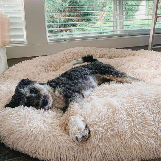 Pawrelax | Flauschiges Hundebett – Komfortabler Schlafplatz für Vierbeiner