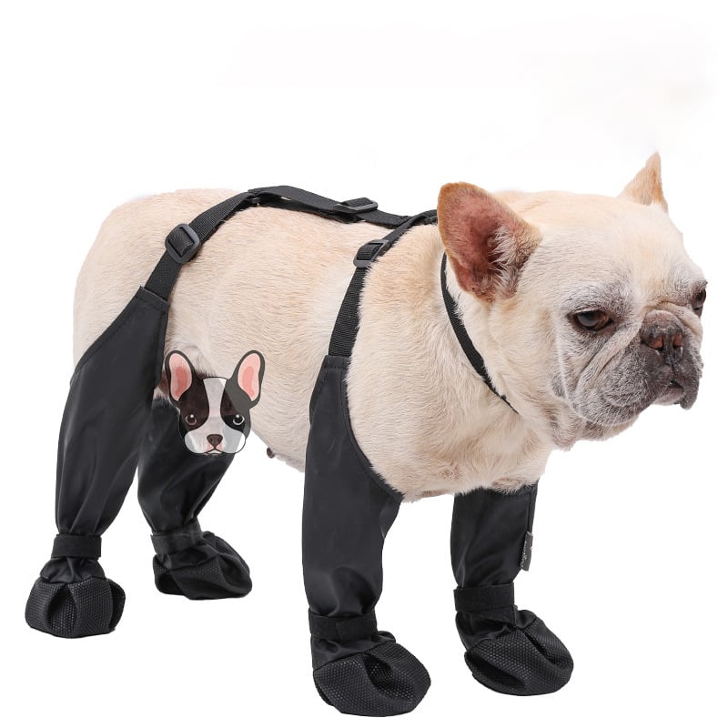 BergWuff | Outdoor-Schutzstiefel für Hunde