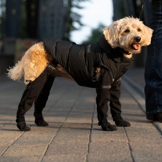 BergWuff | Outdoor-Schutzstiefel für Hunde
