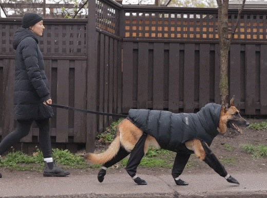 BergWuff | Outdoor-Schutzstiefel für Hunde