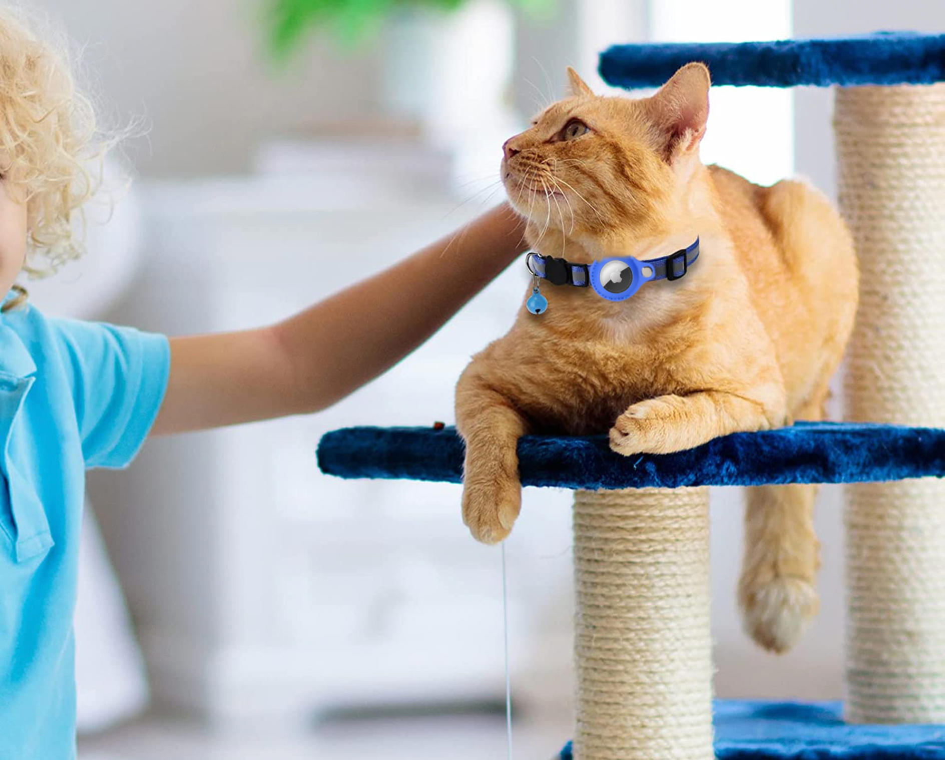 Luna | Reflektierendes AirTag Halsband für Katzen mit Sicherheitsverschluss