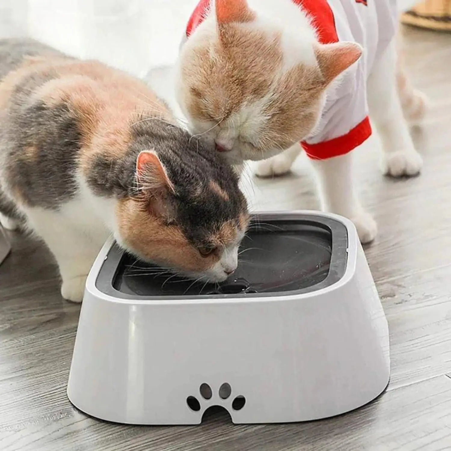 AquaMello | Anti-Spritz-Wassernapf für Hunde & Katzen