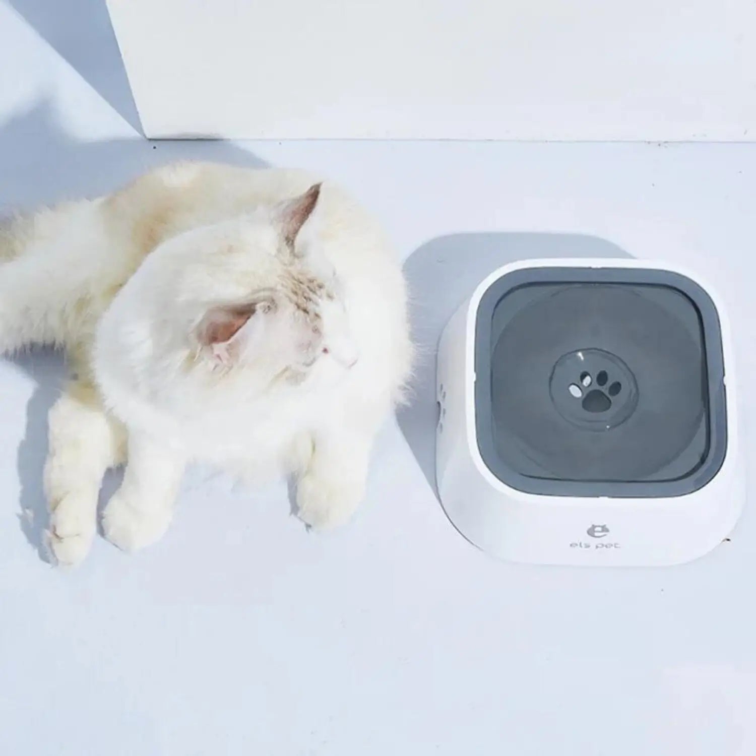 AquaMello | Anti-Spritz-Wassernapf für Hunde & Katzen