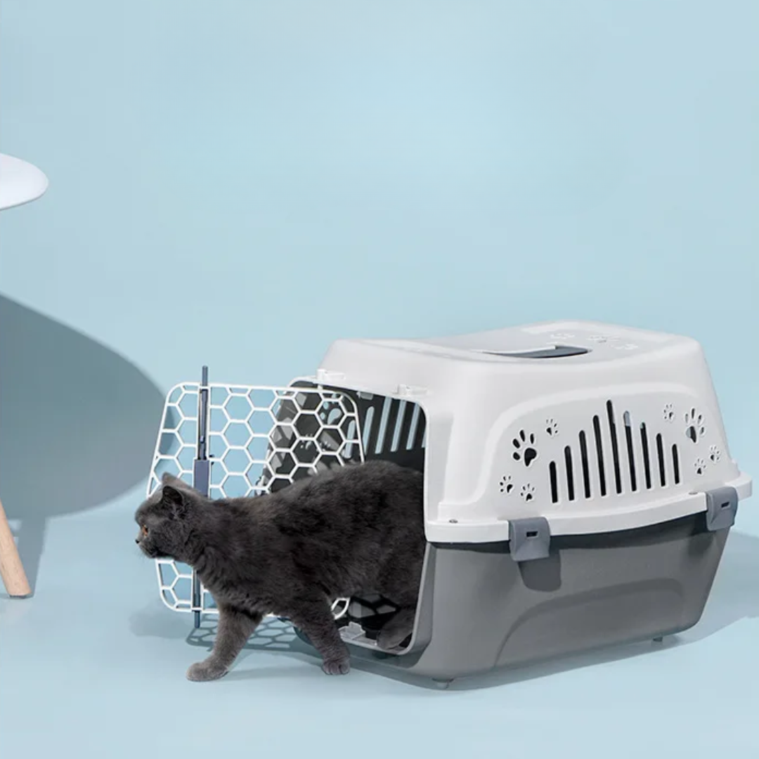 PawVoyage | Flug- & Transportbox für Haustiere