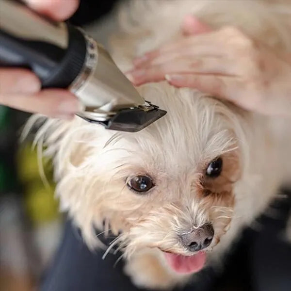 QuietPaws | Leises Felltrimmer‑Set für Hunde
