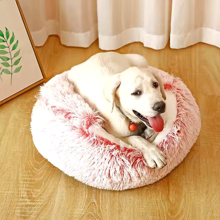 Relax | 2in1 Hundebett & Kuschelhöhle