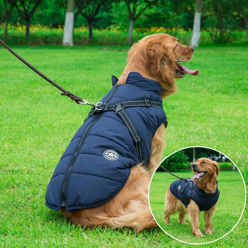 PawShield | Gefütterte Winterjacke mit reflektierendem Geschirr