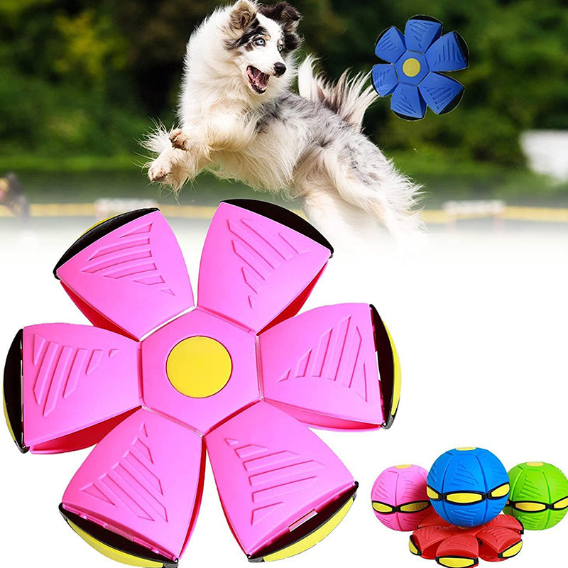 FlipFetch | Frisbee-Ball für Hunde mit Rücksprung-Funktion