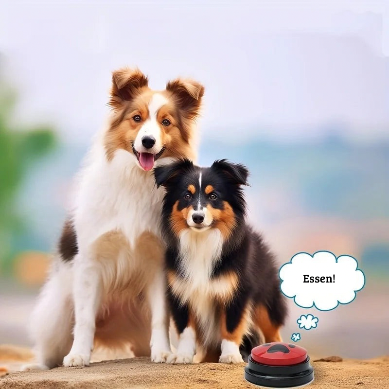 LupoTalk | Lernfähige Sprachknöpfe für Hunde & Katzen