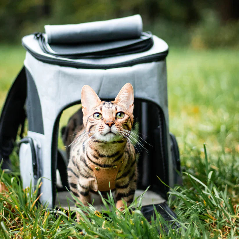 Milo | Ergonomischer Katzenrucksack mit Sichtfenster