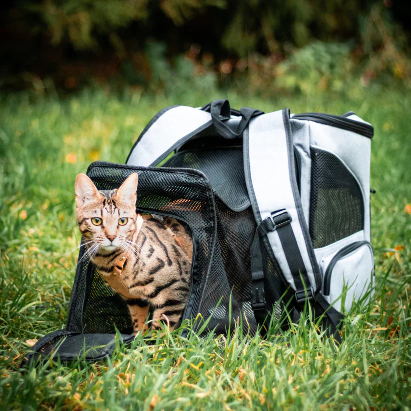Milo | Ergonomischer Katzenrucksack mit Sichtfenster