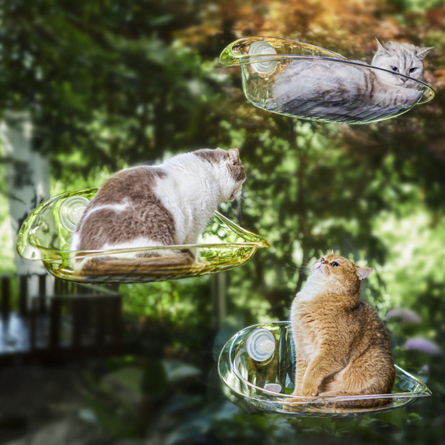 Zuignap Kattenraam Hangmat | Ultiem Relaxen bij het Raam