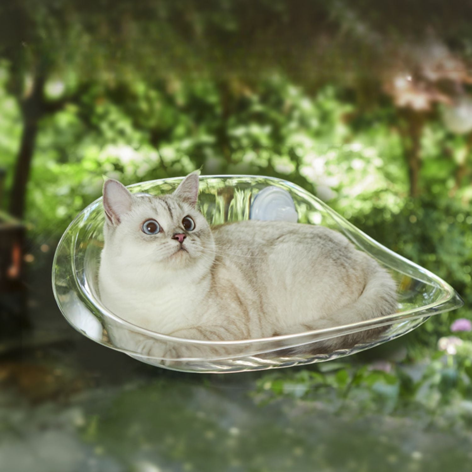 Zuignap Kattenraam Hangmat | Ultiem Relaxen bij het Raam