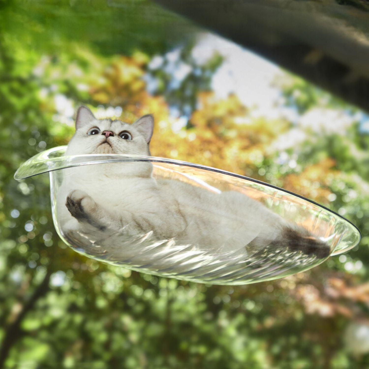 Zuignap Kattenraam Hangmat | Ultiem Relaxen bij het Raam