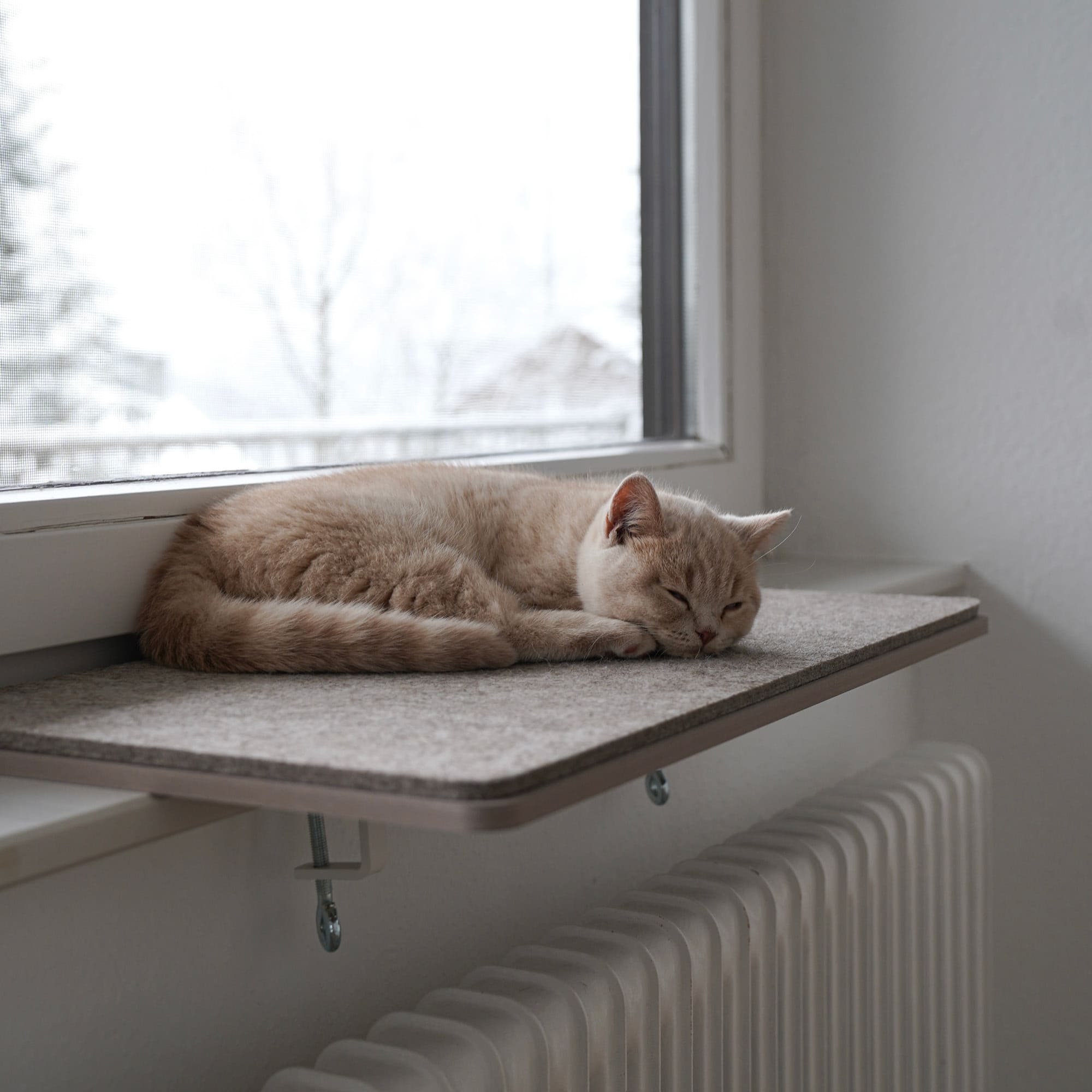 FeliView | Fensterbankliege für Katzen mit Kuschelauflage
