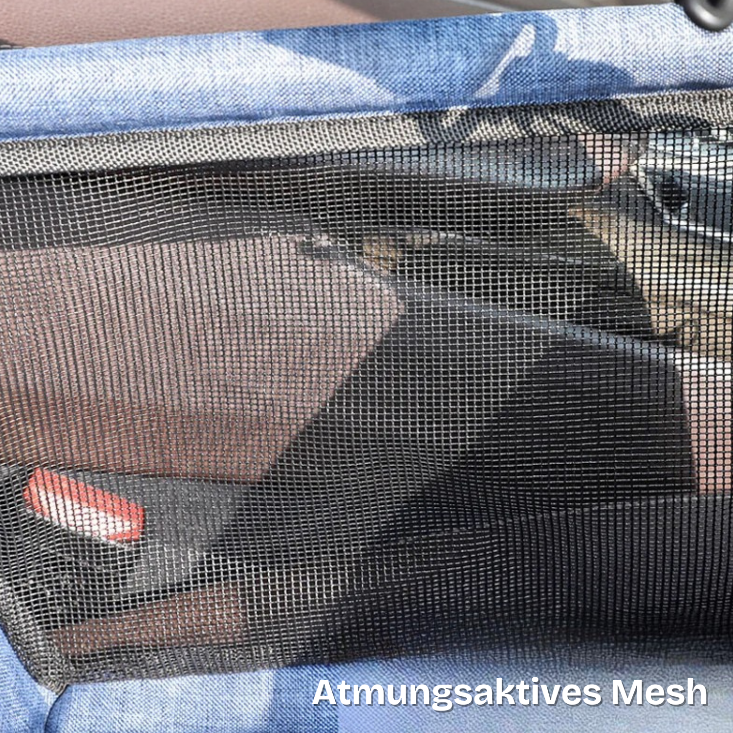 Lino | Faltbarer Haustier-Autositz mit Sicherheitsbefestigung