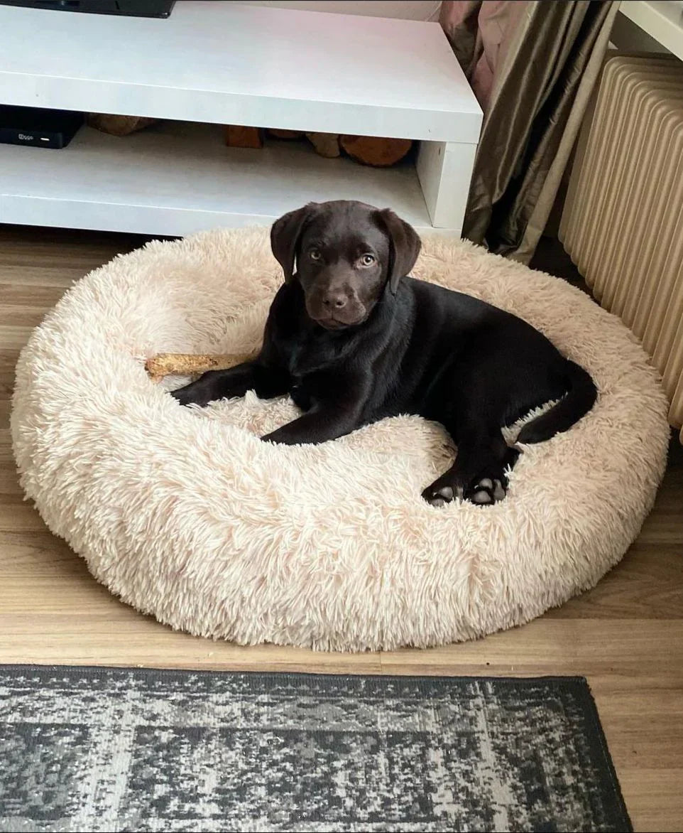 Lunavo | Kuschelbett für Hunde mit ergonomischer Unterstützung
