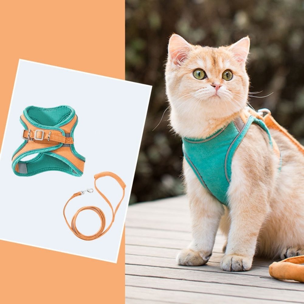 Miauvo | Sicherheits-Katzengeschirr mit Leine – Komfortabel & Ausbruchsicher