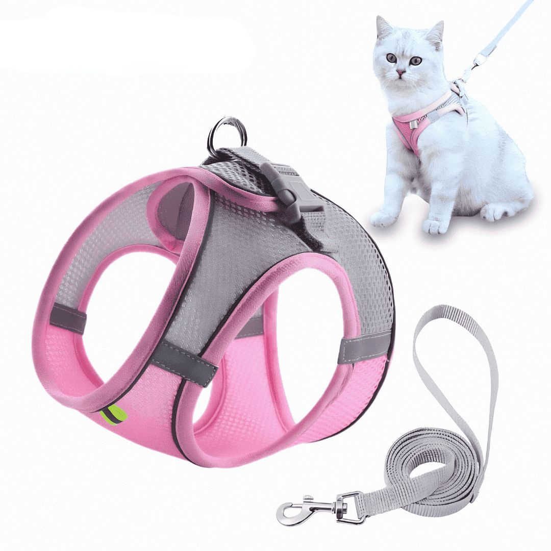 MimiPaws | Stilvolles Katzengeschirr für sichere Abenteuer