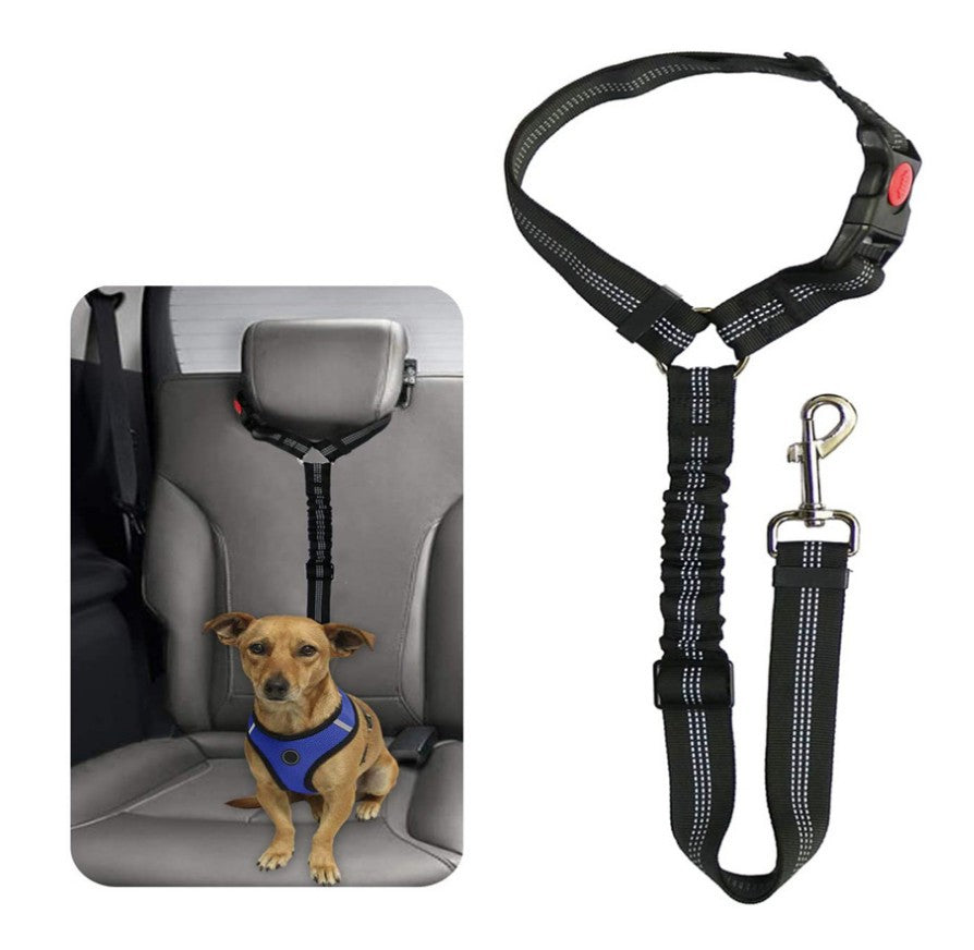 Rex | Verstellbarer Sicherheitsgurt für Hunde im Auto