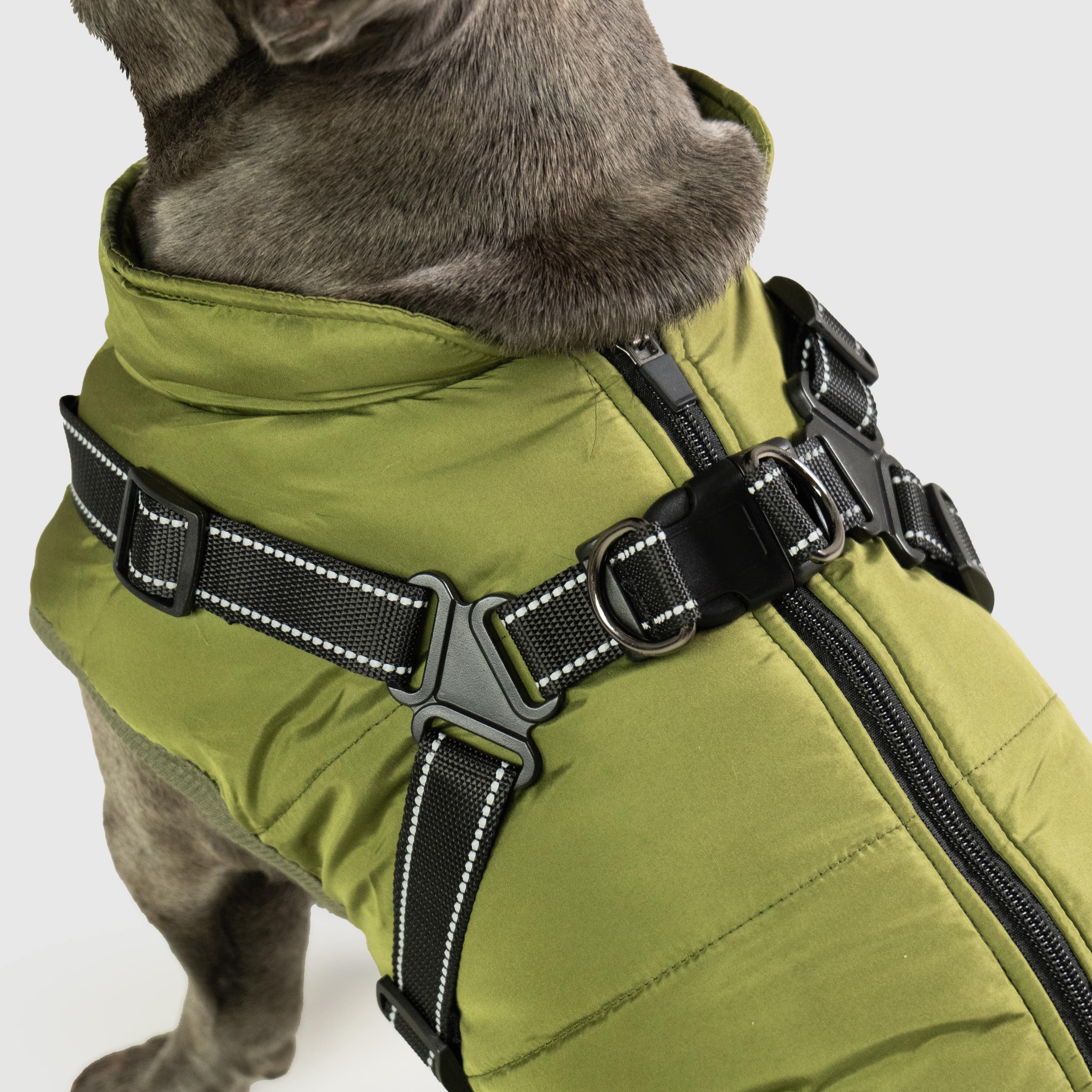 Rufus | Gefütterte Hundejacke mit integriertem Sicherheitsgeschirr