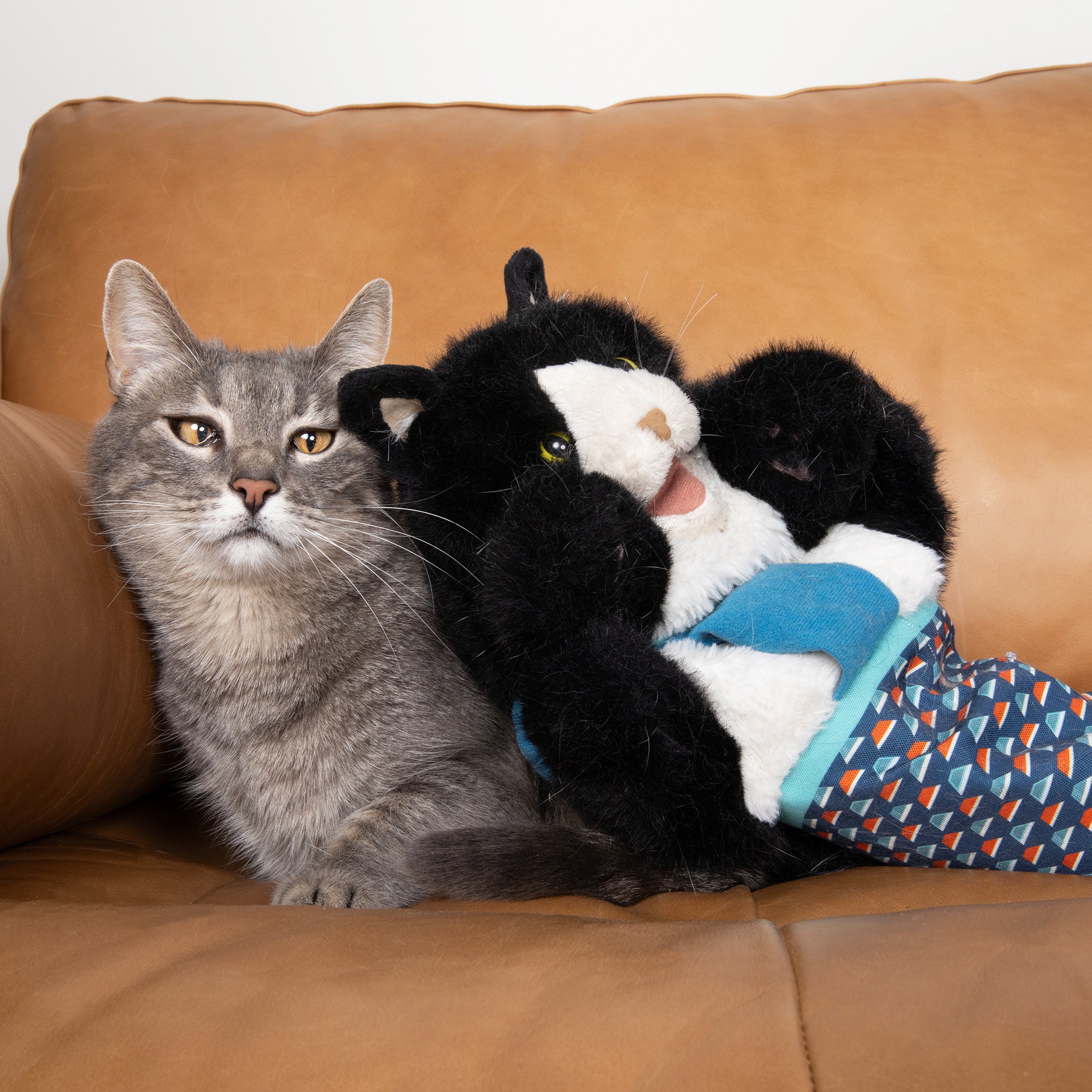 Boxicat | Raufspiel-Handpuppe mit Katzenminze & Kratzschutz für interaktives Katzenspiel