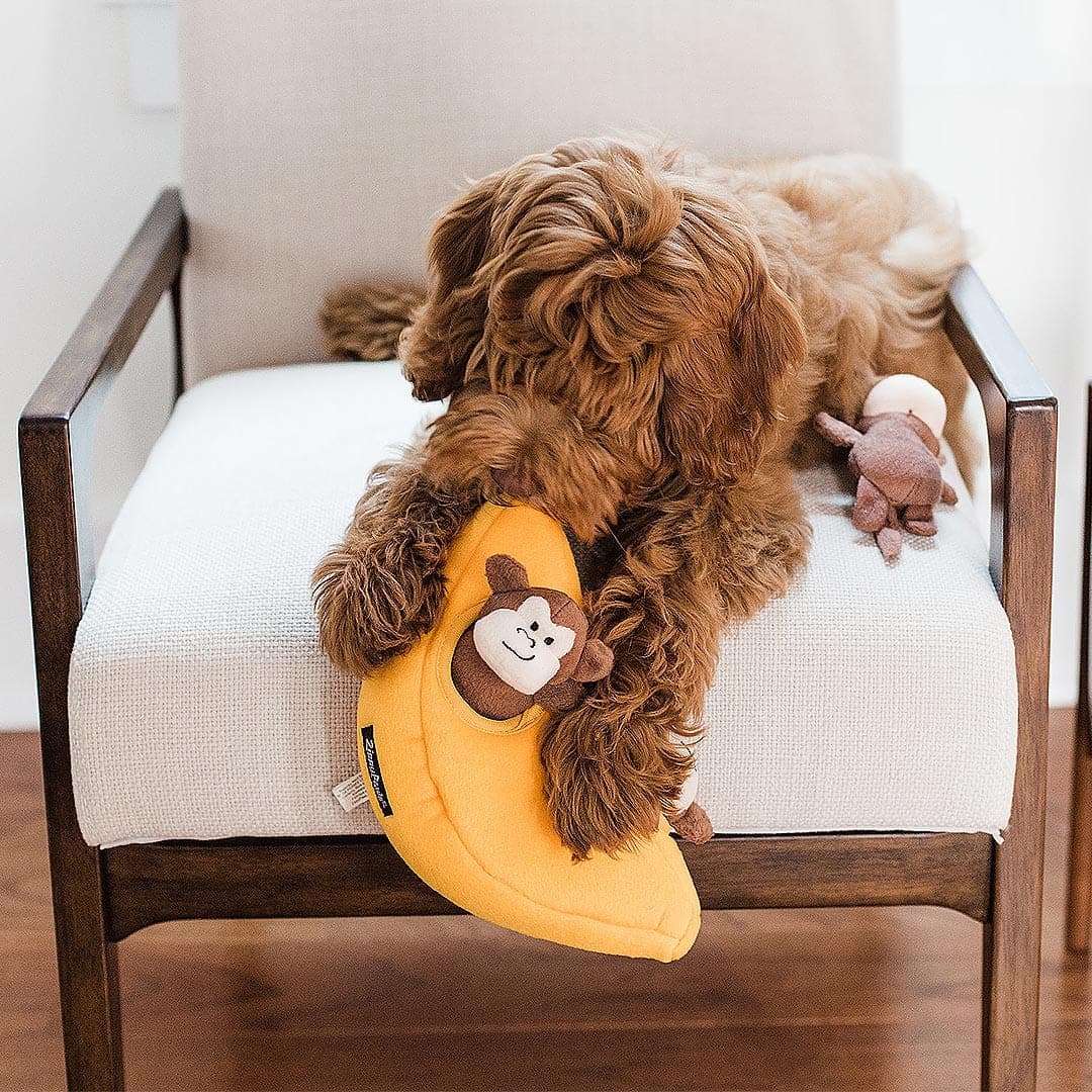 PawTropia | Interaktives Hundespielzeug – Bananenspaß mit frechen Äffchen