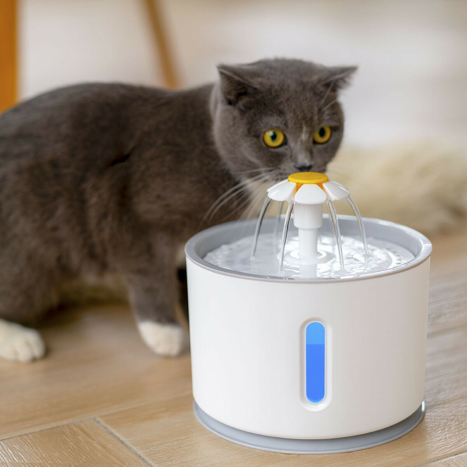 Aquaneko | Premium Trinkbrunnen für Katzen – Edelstahl & Filtertechnik