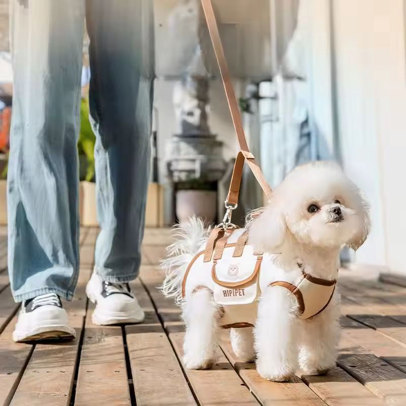 Fellino | Tragetasche mit Schultergurt für kleine Hunde & Welpen