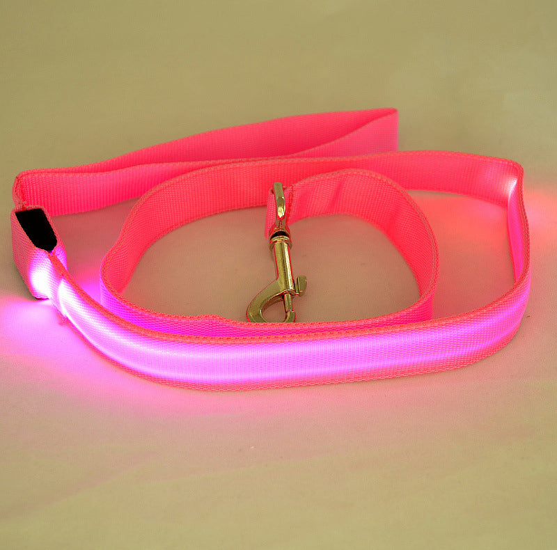 LumiPaw | LED Hundeleine mit USB-Aufladung und 3 Leuchtmodi