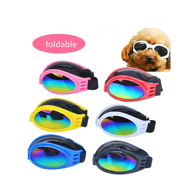 Hektor | Faltbare UV-Schutz-Hundebrille mit elastischem Komfortband