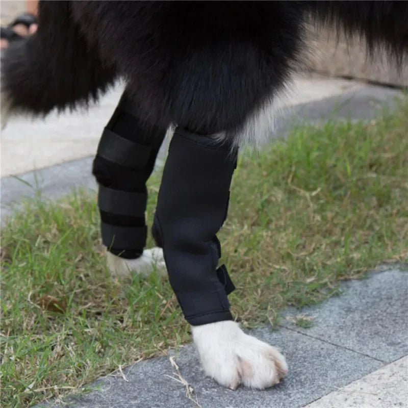 Dogthor | Kniebandagen-Set für Hunde – Gelenkunterstützung im Doppelpack