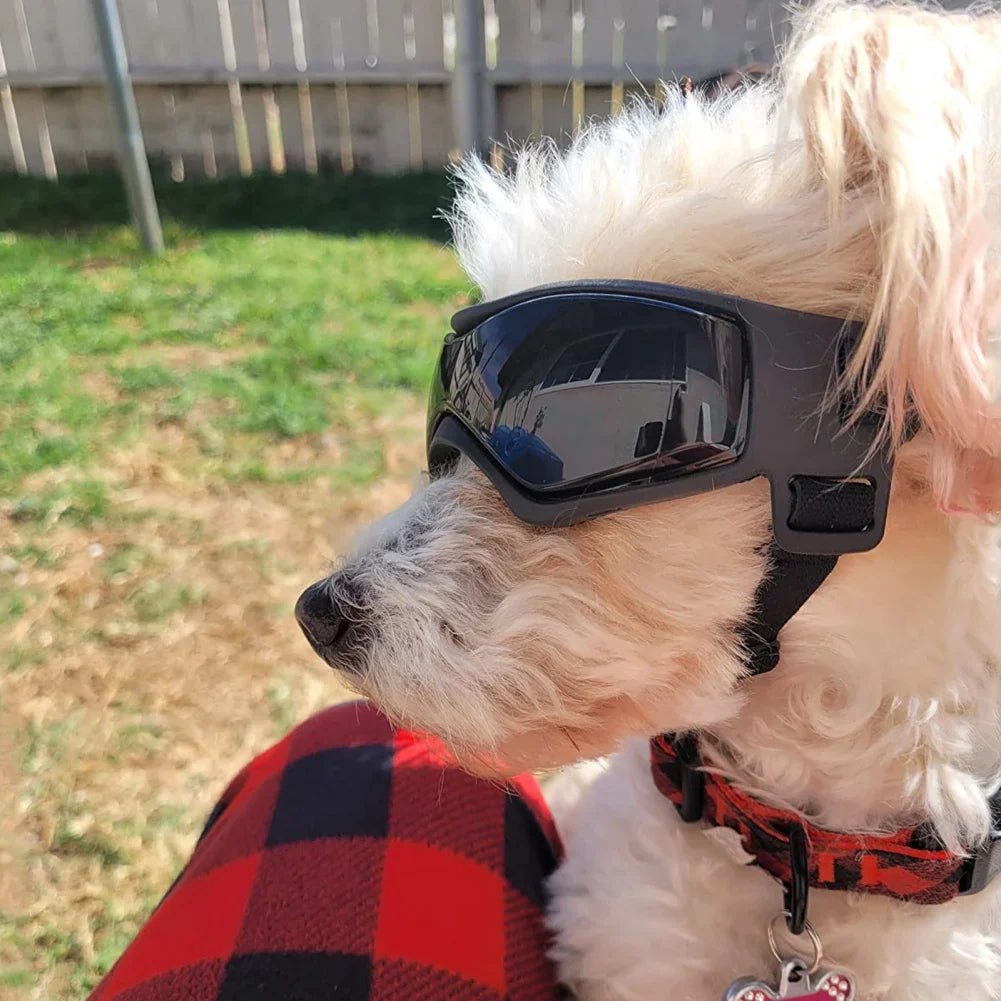 Dognero | Sportliche Schutzbrille für Hunde mit UV-Filter