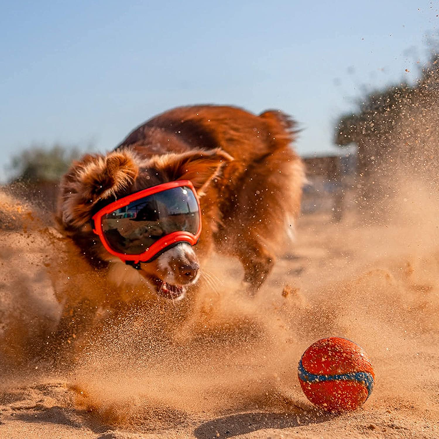PawView | Anti-UV Hundebrille – Stoßfest & winddicht