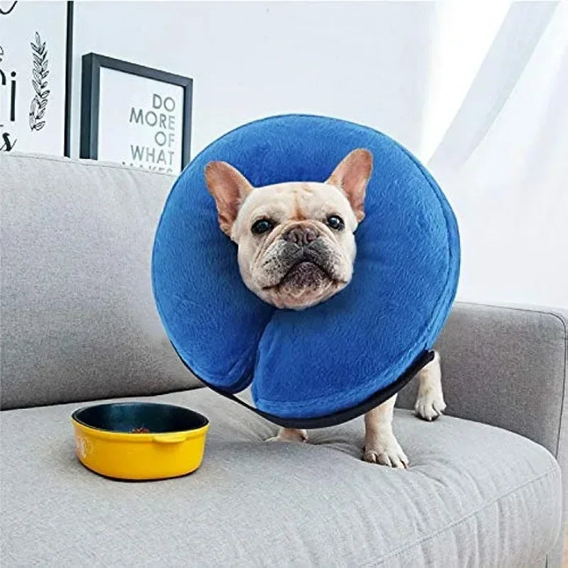 HealPet | Aufblasbares Genesungshalsband