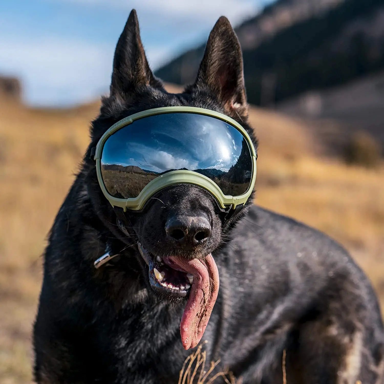PawView | Anti-UV Hundebrille – Stoßfest & winddicht